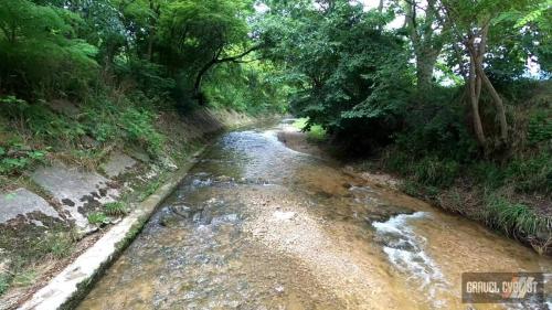glory roads italy cittadella