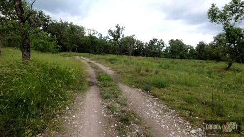 glory roads italy cittadella