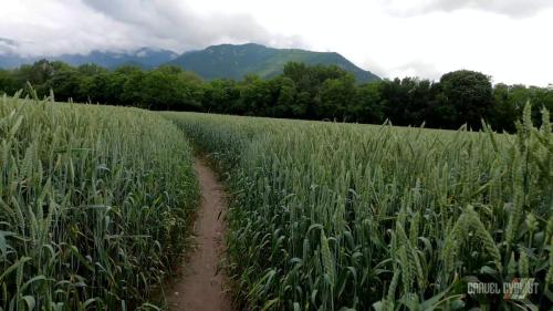 glory roads italy cittadella