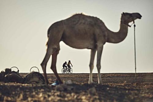 2020 gravel epic marrakesh