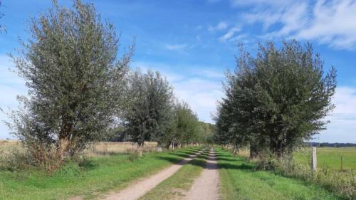 gravel cycling on the island of usedom