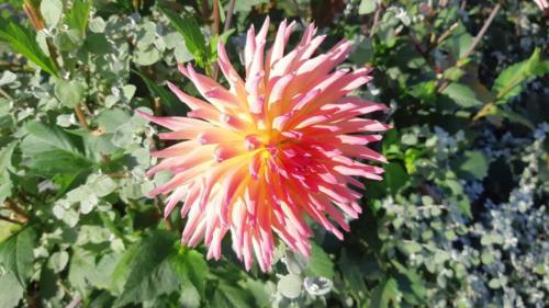 gravel cycling on the island of usedom
