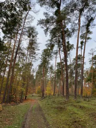 Greffelründsche gravel around frankfurt