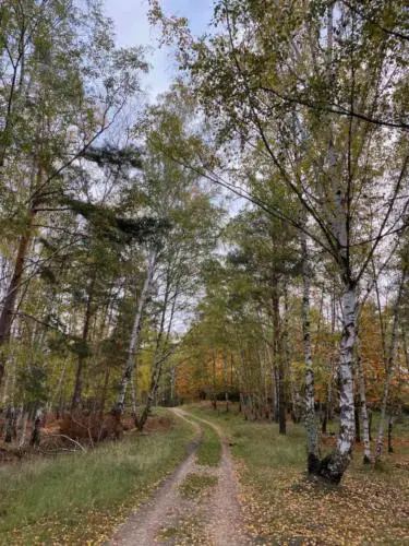 Greffelründsche gravel around frankfurt