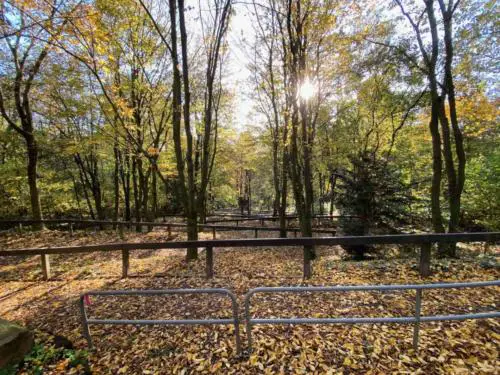 Greffelründsche gravel around frankfurt