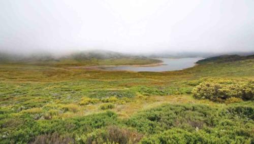 grinduro australia preview