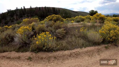 gunnison county gravel biking camp