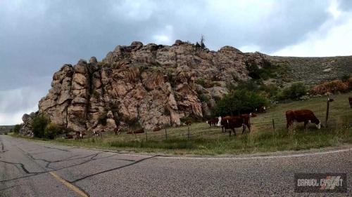 gunnison county gravel biking camp