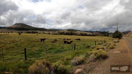 gunnison county gravel cycling