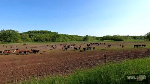 driftless region cycling illinois