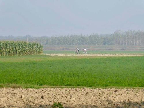 into the gravel parma italy 2019
