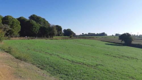 jeroboam spain zero edition 2019