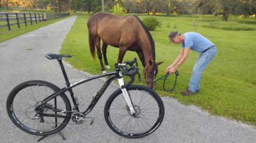 drop bar mountain bike conversion