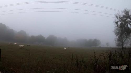 king's road coast to coast