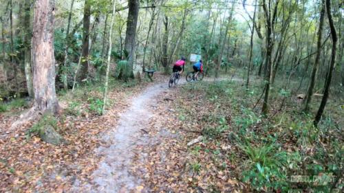 king's road coast to coast