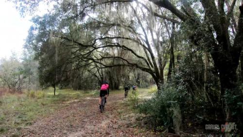 king's road coast to coast