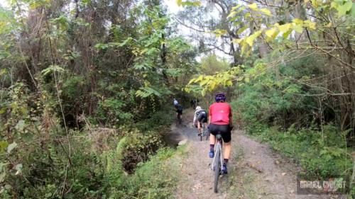 king's road coast to coast