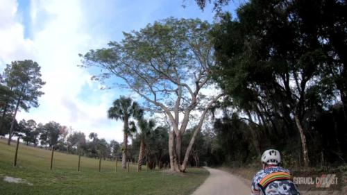 king's road coast to coast