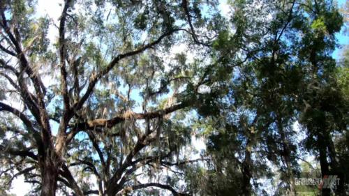 king's road coast to coast