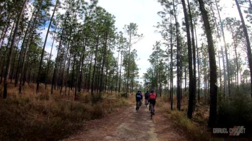 king's road coast to coast