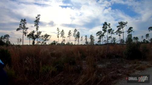 king's road coast to coast