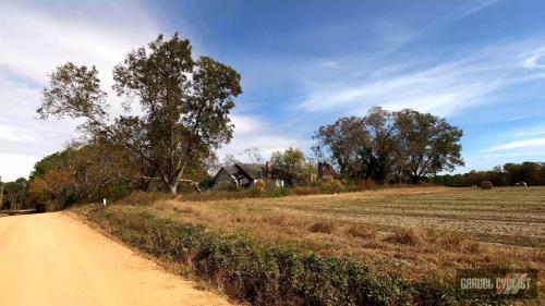 Laughing Donkey Gravel Invitational