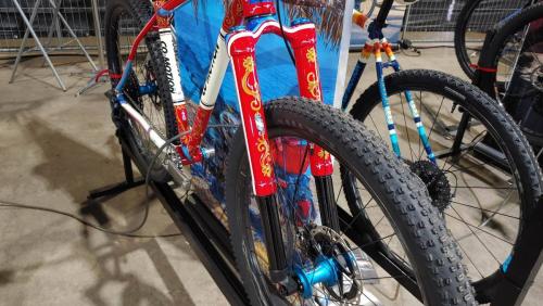 co-motion cycles made show