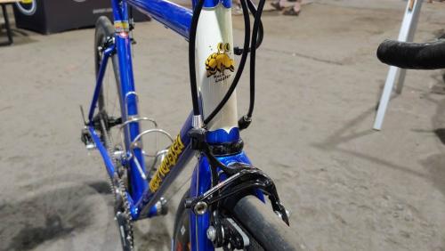 rock lobster made show