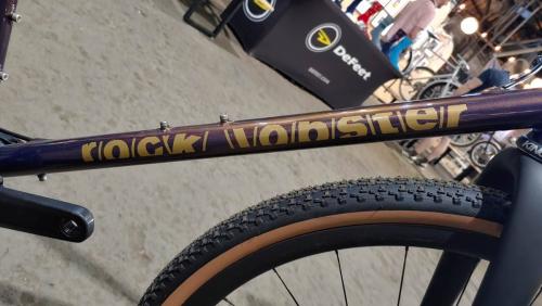 rock lobster made show