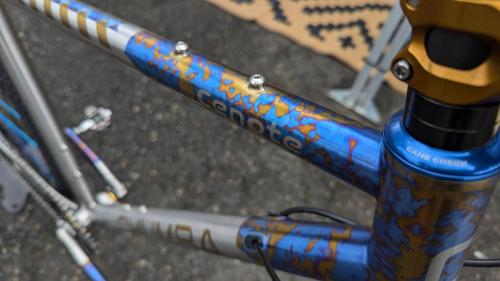 chumba usa made show