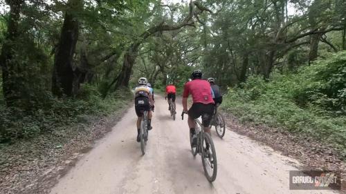 mallory swamp classic