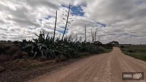 mannum south australia gravel cycling