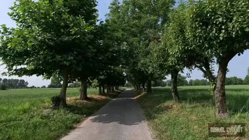 marostica italy cycling