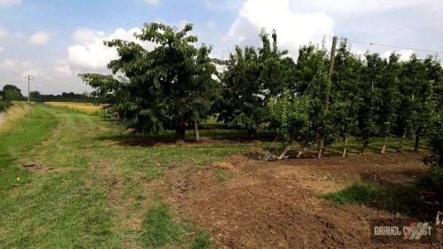 ferrara italy gravel cycling