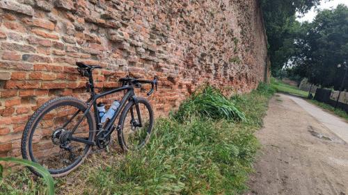 masi torelli gravel cycling