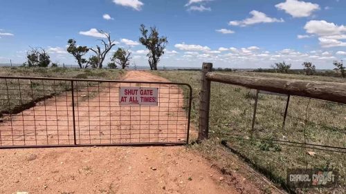 mount pleasant gravel cycling