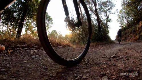 riding a gravel bike on mount tamalpais