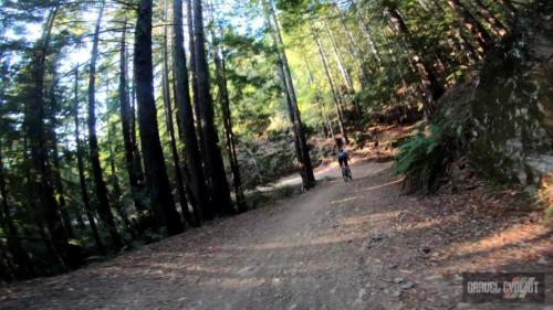 riding a gravel bike on mount tamalpais