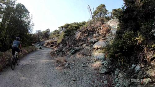 riding a gravel bike on mount tamalpais