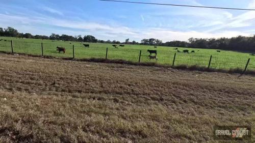 new year's day 2025 gravel ride