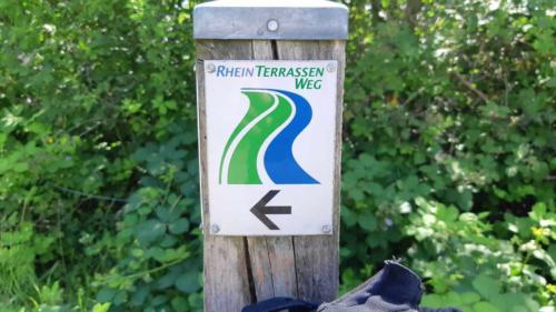 Nibelungen Gravel Ride 2021