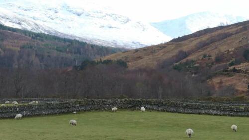 North Coast 500 bikepacking route