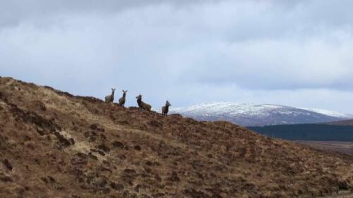 North Coast 500 bikepacking route