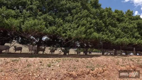 orange new south wales gravel cycling