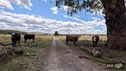 orange new south wales gravel cycling