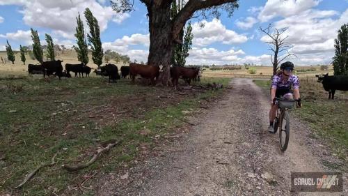 orange new south wales gravel cycling