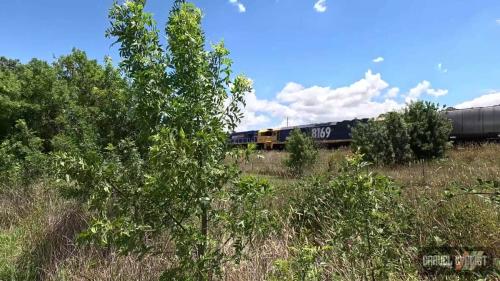 OrangeNSWVideo2024-16