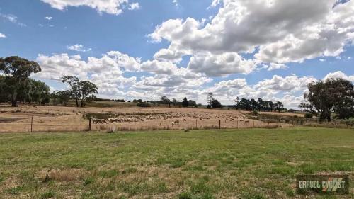 ride orange new south wales