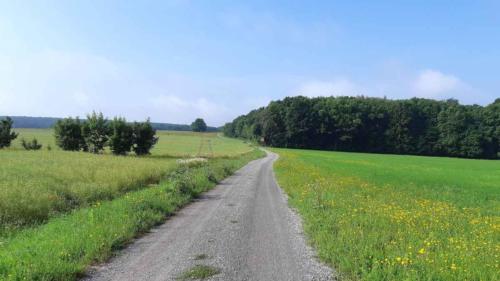 orbit360 gravel series 2021