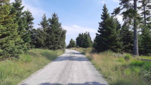 orbit360 gravel series 2021